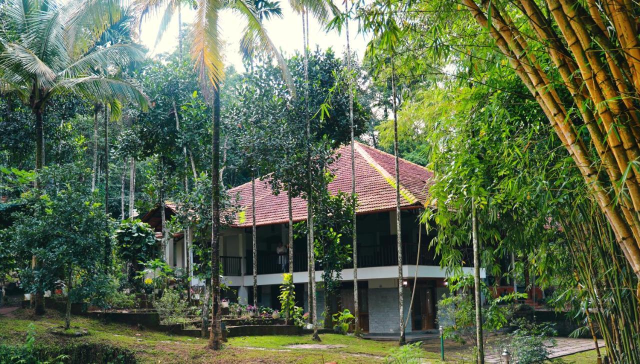 Bamboo Creek Resort Vaduvanchal Luaran gambar