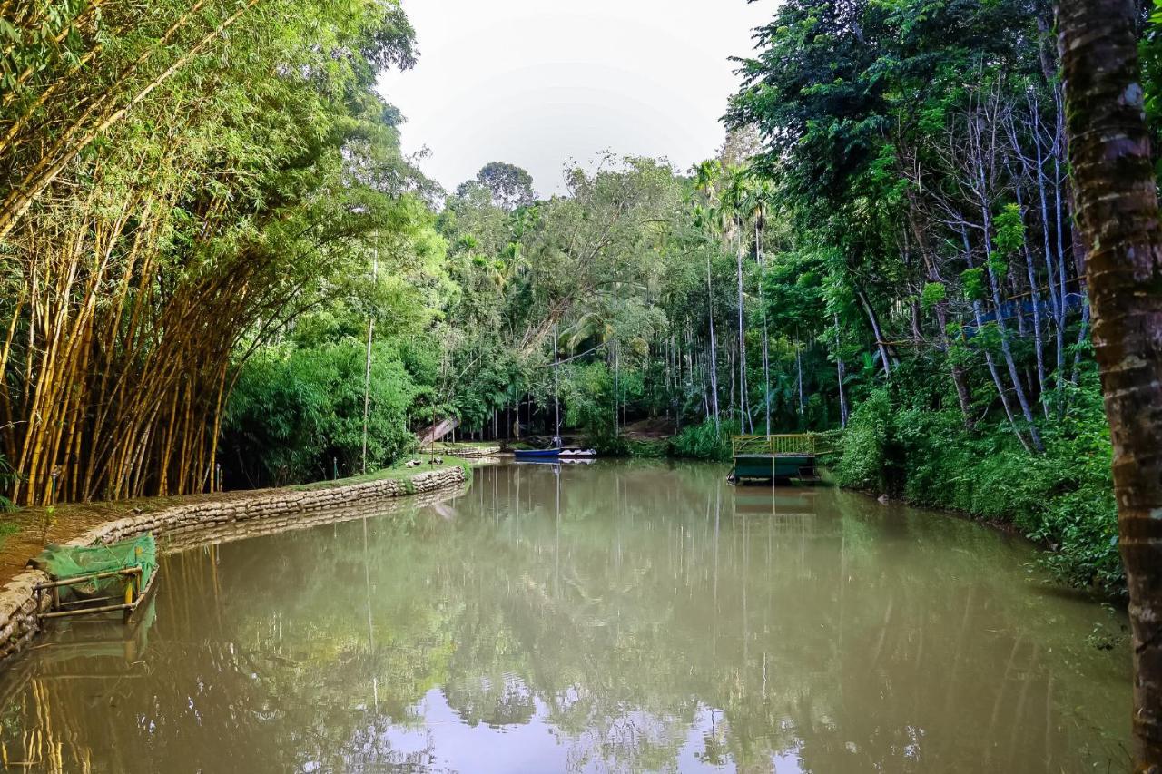 Bamboo Creek Resort Vaduvanchal Luaran gambar