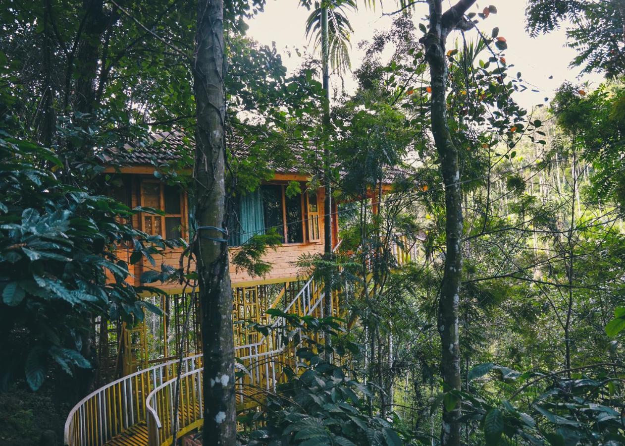 Bamboo Creek Resort Vaduvanchal Luaran gambar