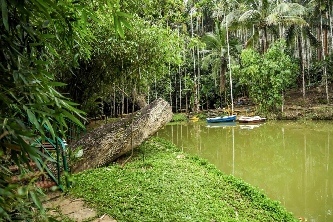 Bamboo Creek Resort Vaduvanchal Luaran gambar