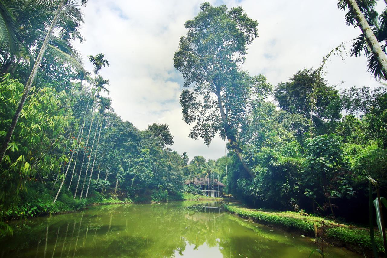 Bamboo Creek Resort Vaduvanchal Luaran gambar