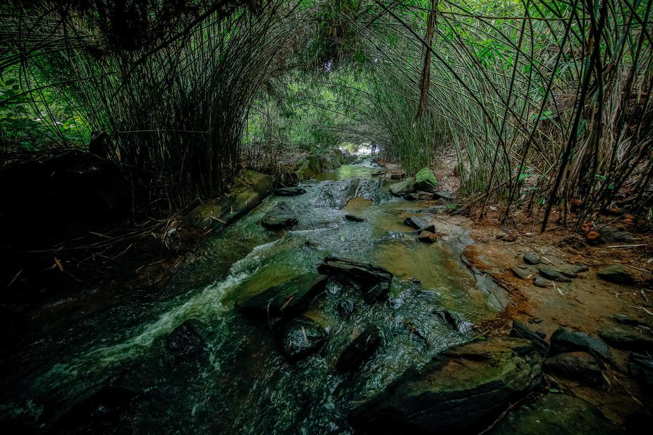 Bamboo Creek Resort Vaduvanchal Luaran gambar