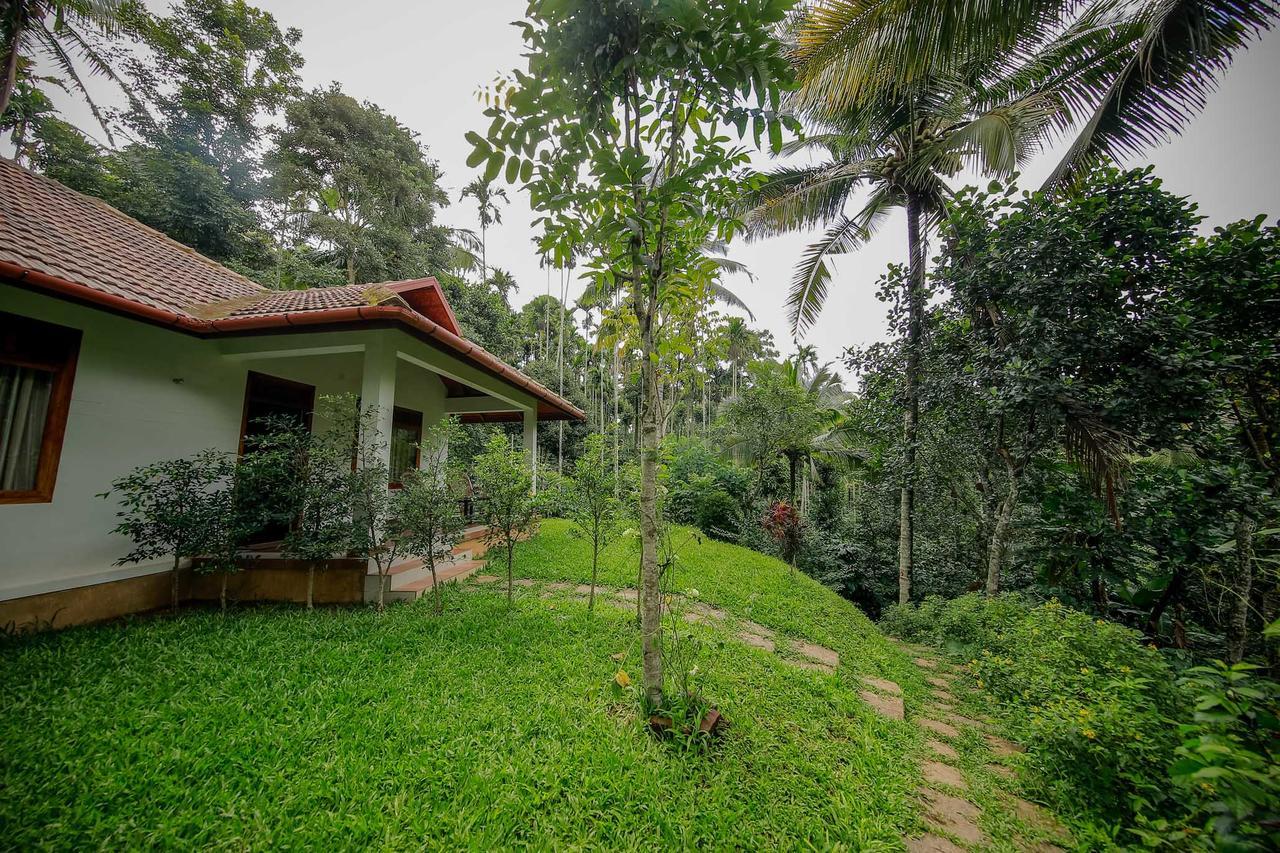 Bamboo Creek Resort Vaduvanchal Luaran gambar