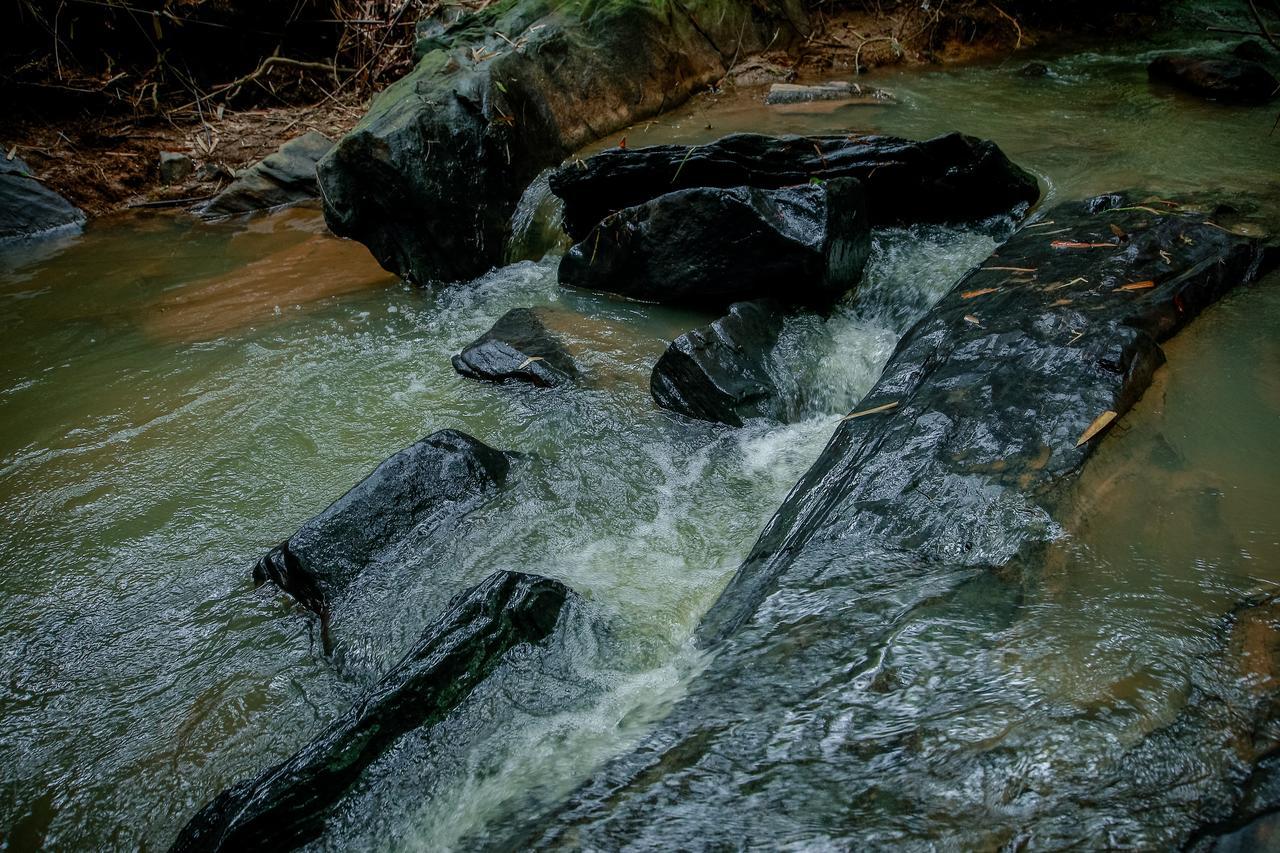 Bamboo Creek Resort Vaduvanchal Luaran gambar