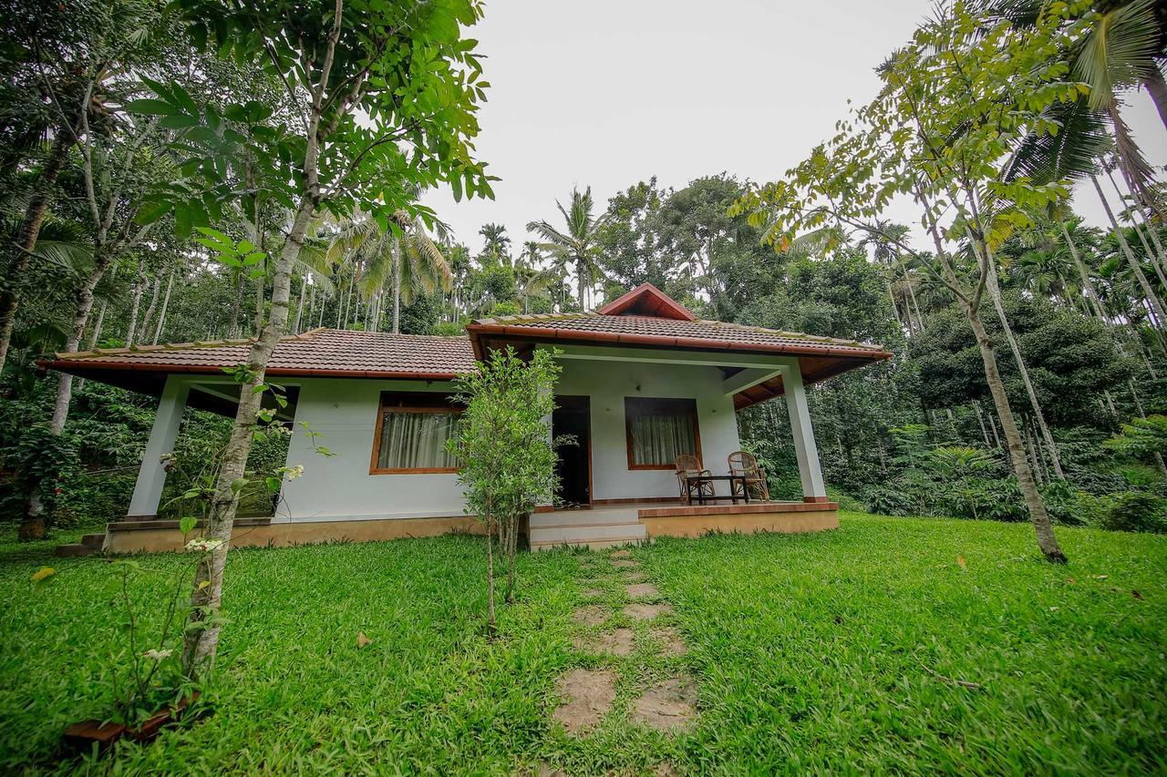 Bamboo Creek Resort Vaduvanchal Luaran gambar