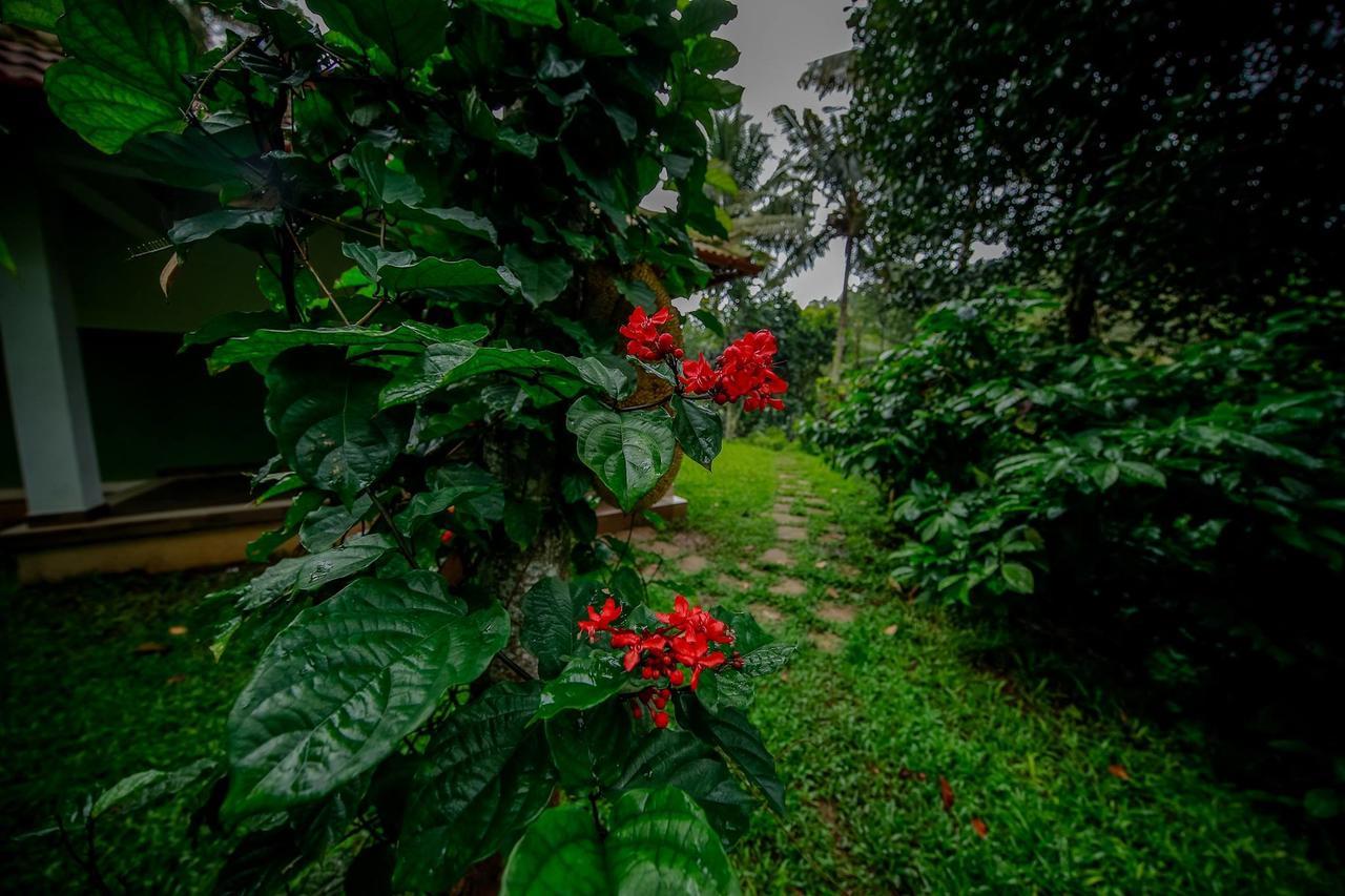 Bamboo Creek Resort Vaduvanchal Luaran gambar