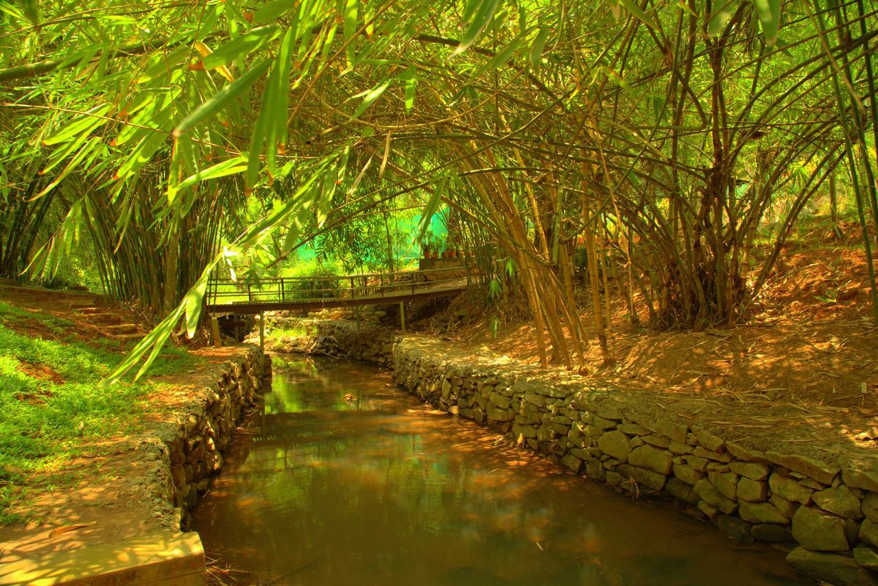 Bamboo Creek Resort Vaduvanchal Luaran gambar