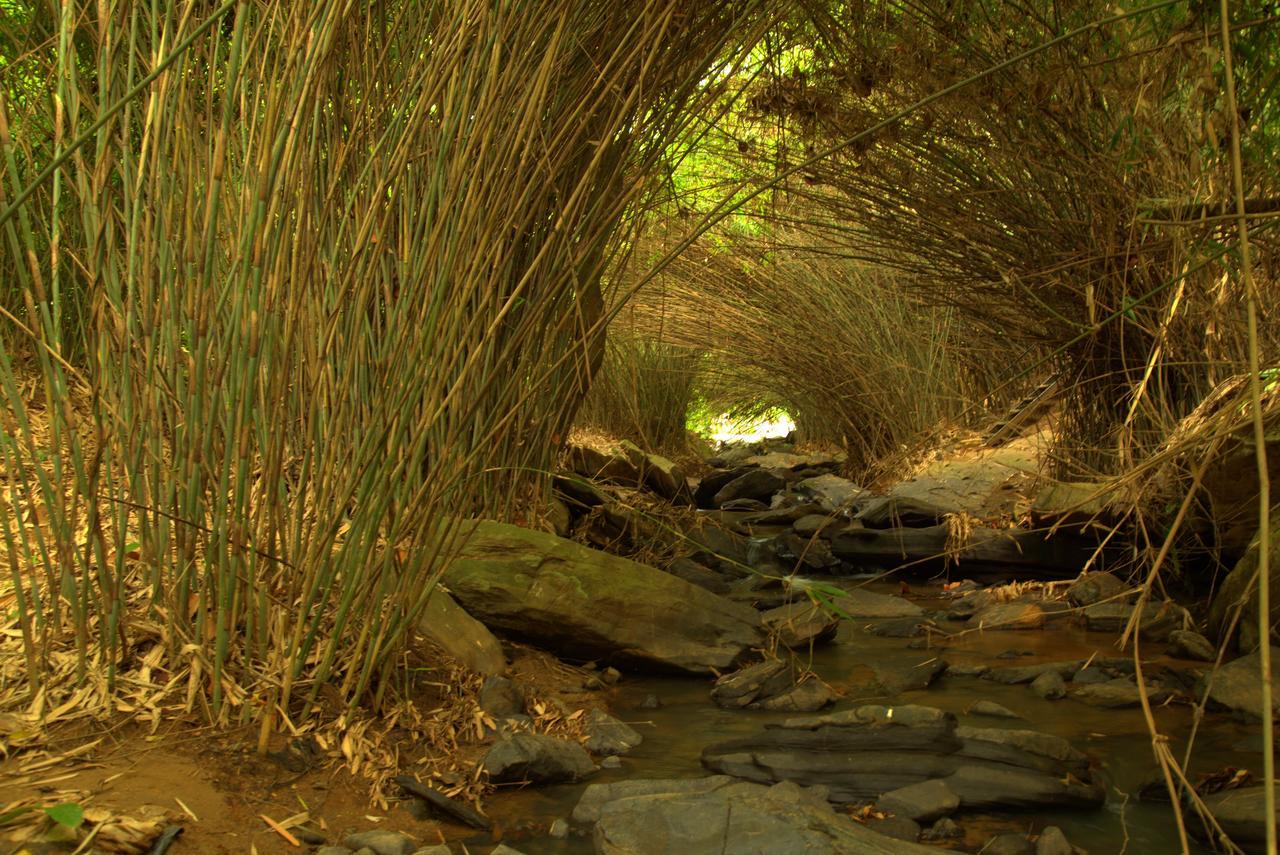 Bamboo Creek Resort Vaduvanchal Luaran gambar