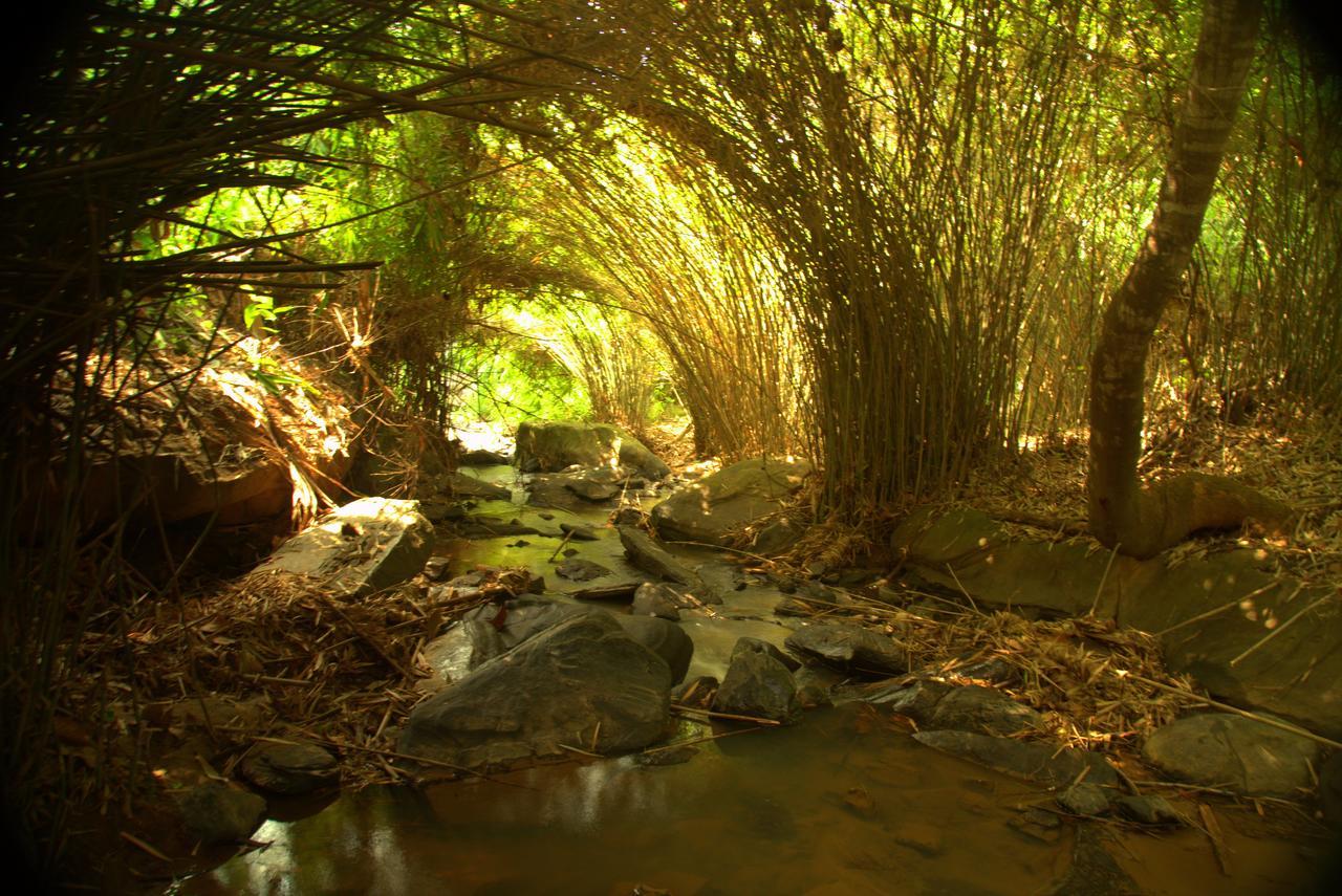 Bamboo Creek Resort Vaduvanchal Luaran gambar