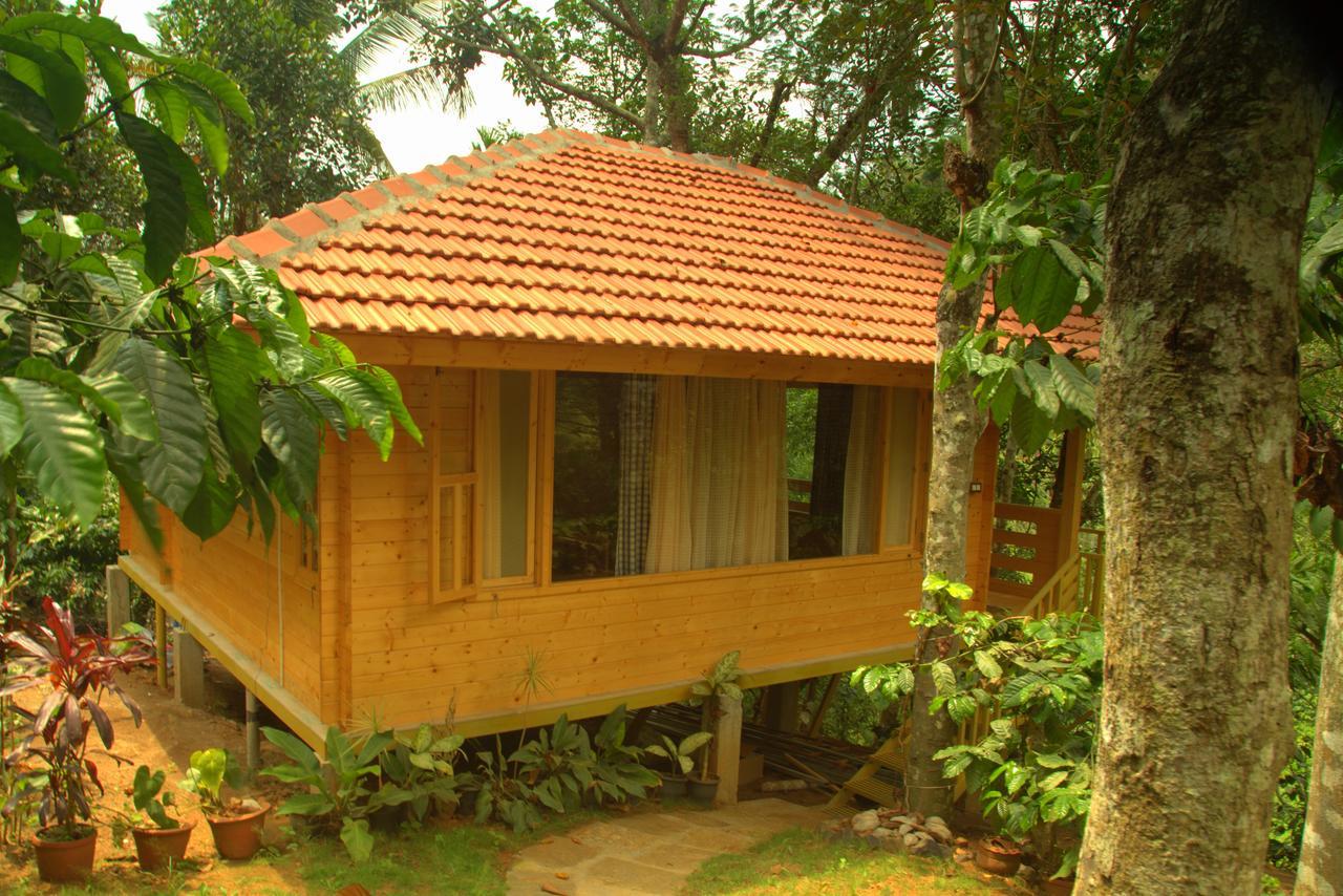 Bamboo Creek Resort Vaduvanchal Luaran gambar