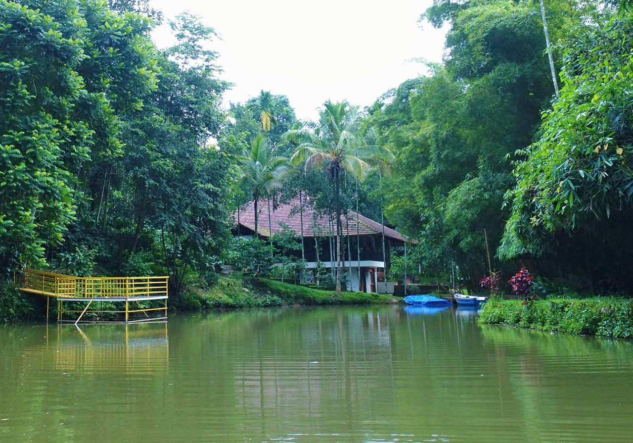 Bamboo Creek Resort Vaduvanchal Luaran gambar