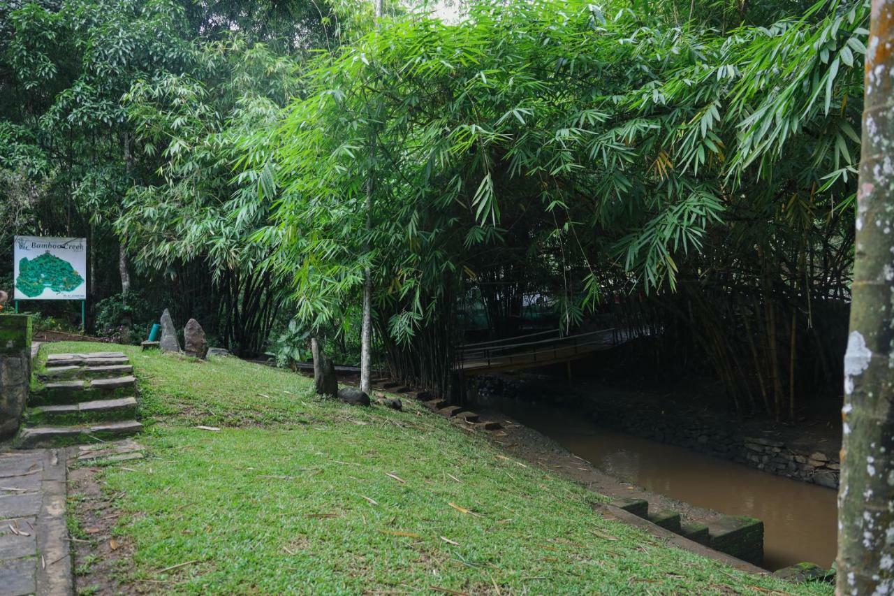 Bamboo Creek Resort Vaduvanchal Luaran gambar