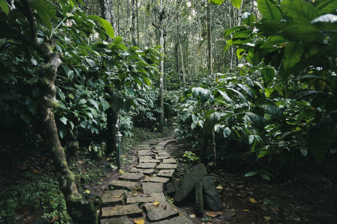 Bamboo Creek Resort Vaduvanchal Luaran gambar