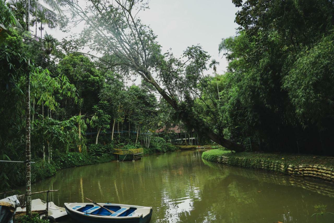 Bamboo Creek Resort Vaduvanchal Luaran gambar