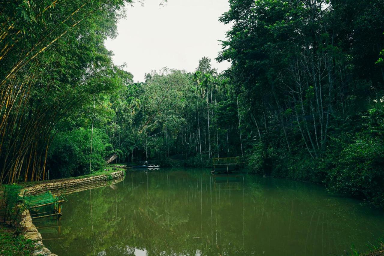 Bamboo Creek Resort Vaduvanchal Luaran gambar