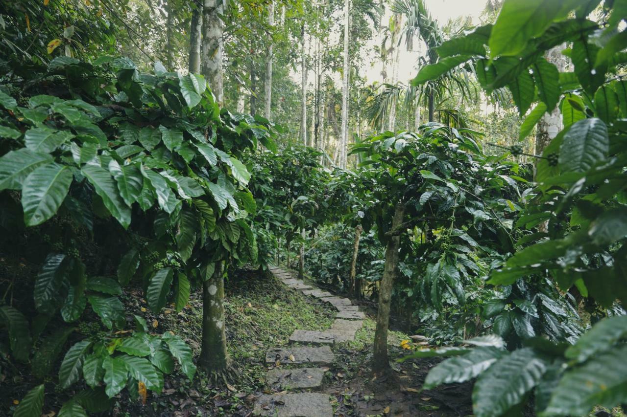 Bamboo Creek Resort Vaduvanchal Luaran gambar