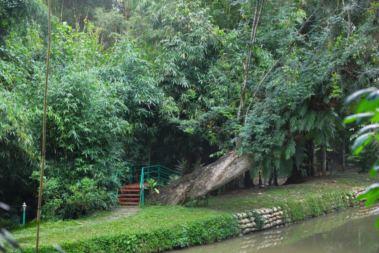 Bamboo Creek Resort Vaduvanchal Luaran gambar