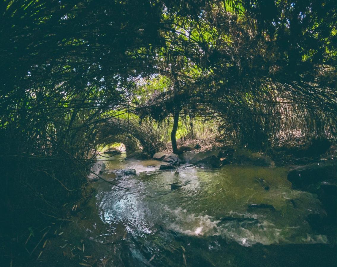 Bamboo Creek Resort Vaduvanchal Luaran gambar